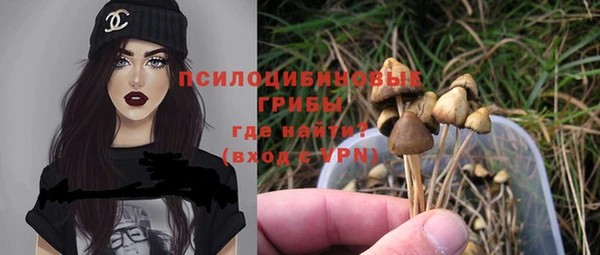 мяу мяу мука Балахна