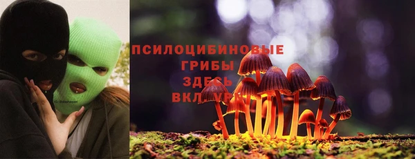 индика Баксан