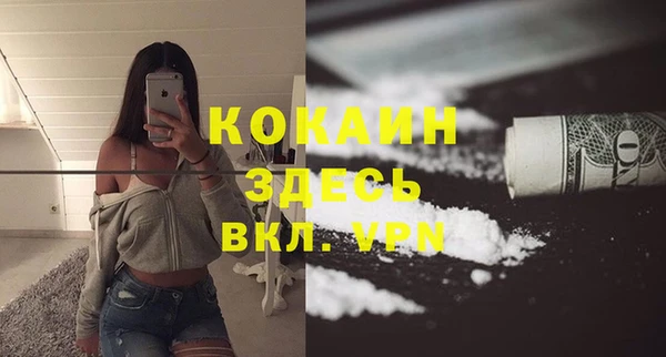 индика Баксан