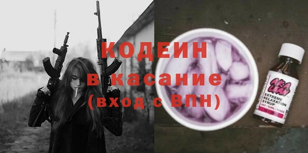 индика Баксан
