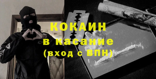 индика Баксан