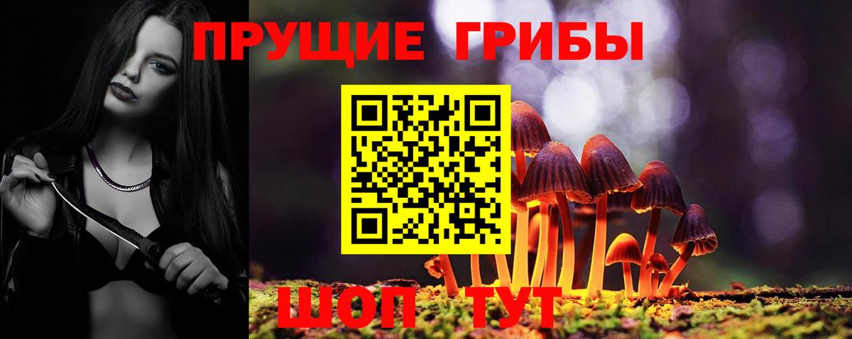 Кувандык  Галлюциногенные грибы GOLDEN TEACHER  Вход с VPN 