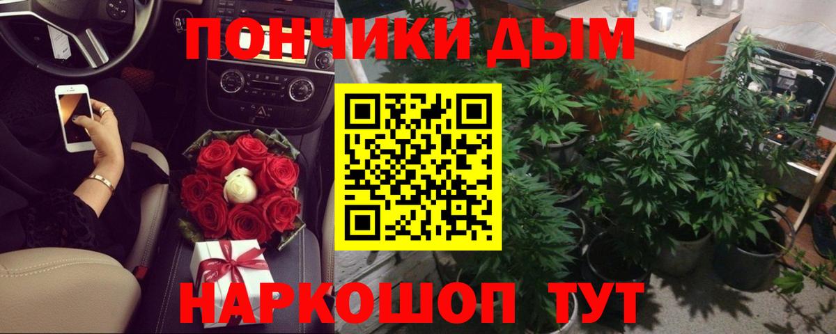 Бошки марихуана план  Вход с VPN  Бошки Шишки AK-47  Бошки марихуана сатива  Кувандык  Каннабис THC 21% 